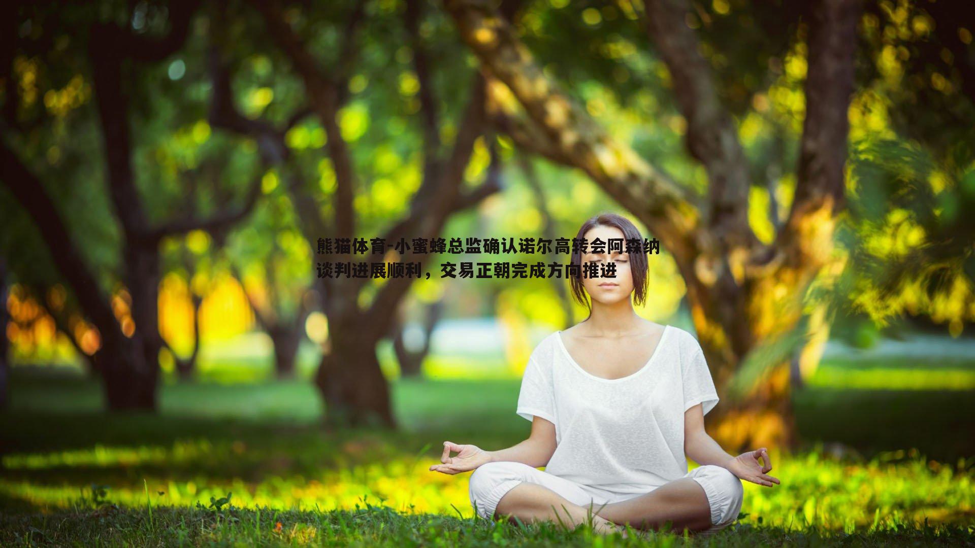 小蜜蜂总监确认诺尔高转会阿森纳谈判进展顺利，交易正朝完成方向推进